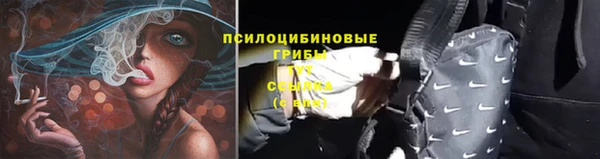 стаф Гатчина
