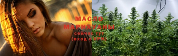 твердый Михайлов