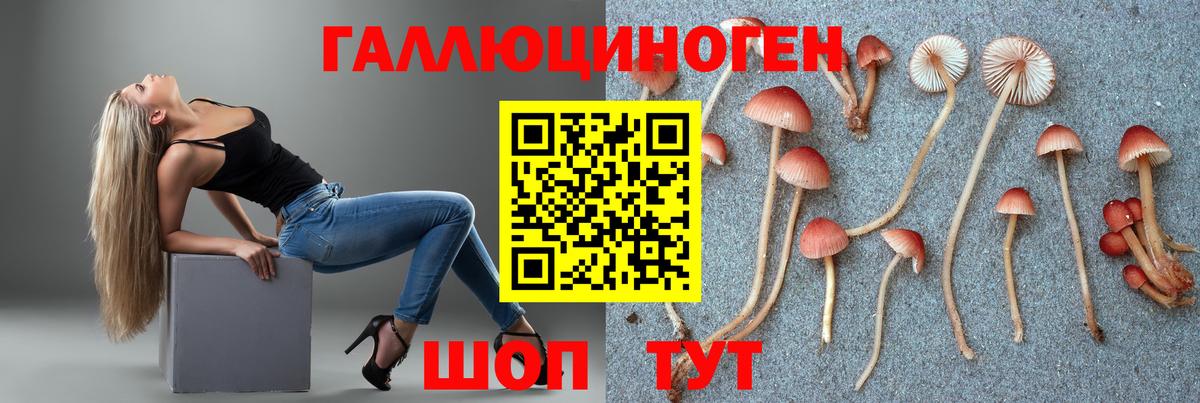 Галлюциногенные грибы прущие грибы Зеленодольск