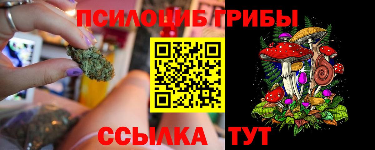 Псилоцибиновые грибы Cubensis  Зеленодольск 