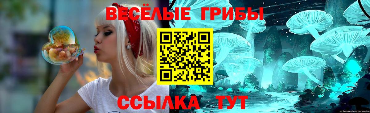 Зеленодольск  Галлюциногенные грибы Magic Shrooms  хочу   Вход с VPN 
